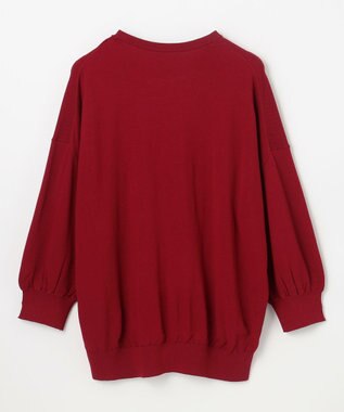 ANY インターシャロゴニットプルオーバー レッド×エクリュ