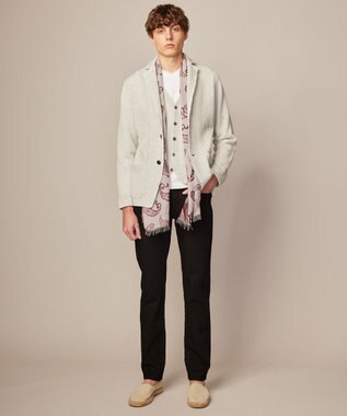 JOSEPH ABBOUD 【洗える】ストローヤーン ニット ベスト ライトグレー系