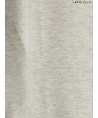 AMERICAN HOLIC ＴＭ＆ＲＹａｌｅ　Ｕｎｉｖｅｒｓｉｔｙ　スウェットパーカー Oatmeal