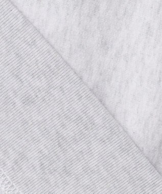 ANY カレッジコラボトレーナー トップグレー×ネイビー刺繍(HARVARD)