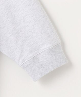 ANY カレッジコラボトレーナー トップグレー×ネイビー刺繍(HARVARD)