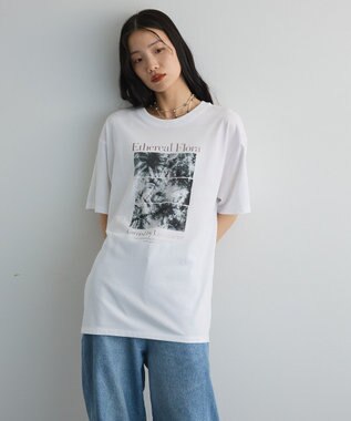 Green Parks フォトグラフィック半袖Ｔシャツ Brown