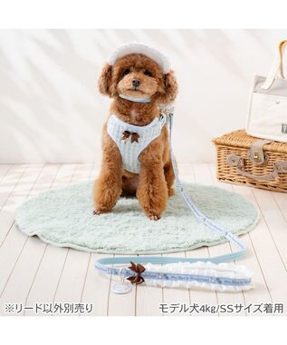 PET PARADISE ディズニー アリス フリルリード ＳＳ～Ｓ ブルー