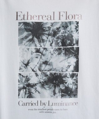 Green Parks フォトグラフィック半袖Ｔシャツ Brown