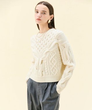 BEIGE， RULE / ウールカシミヤアラン編みクロップドニット