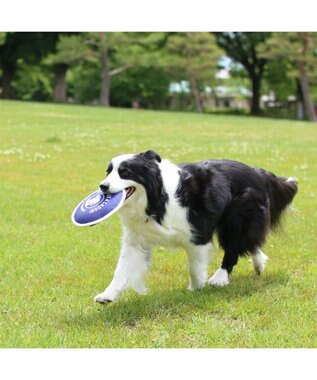 PET PARADISE ペットパラダイス 水に浮く フライングディスク オレンジ