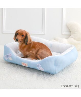 PET PARADISE ペットパラダイス やさしいカドラー  《気球柄》M ライトブルー