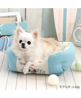 PET PARADISE スヌーピー クールカドラー 《アイス柄》 角型 Ｓ ホワイト×ブルー