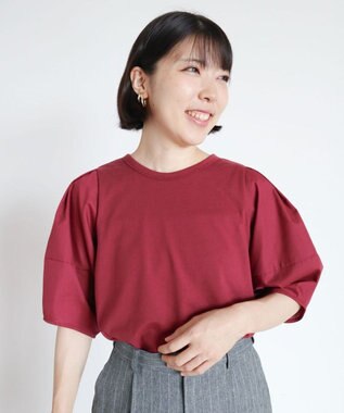 Green Parks ・ＥＬＥＮＣＡＲＥ　ＤＵＥ　バックＺＩＰハイブリットＴ Bordeaux