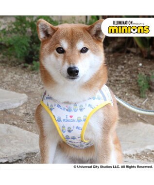  犬 ハーネス ミニオン メッシュ ベスト ハーネス 【ＳＭ】