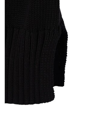 AMERICAN HOLIC Ｖネックベスト／セサミストリート Black