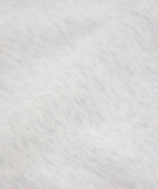 earth music&ecology チャンピオン　ｅｍａｅハーフジップ裏毛プルオーハ Oatmeal