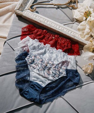 San-ai Resort（三愛水着楽園） エレガントコレクション【2411】バックレースショーツ 【northerly】 グレー