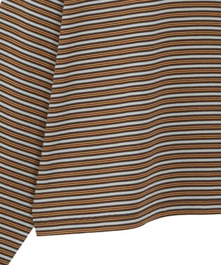 AMERICAN HOLIC カラーボーダークロップド丈プルオーバー Brown