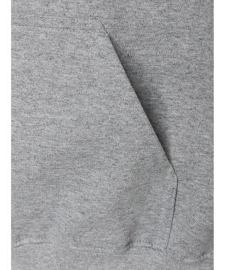 Green Parks ●ＤＯＯＮＡ　ＤＲＥＡＭ　ＳＷＥＥＴ　パーカー Gray