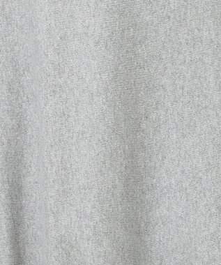 AMERICAN HOLIC ＮＥＢＲＡＳＫＡロゴプリントスウェット③ Light Gray Mixture