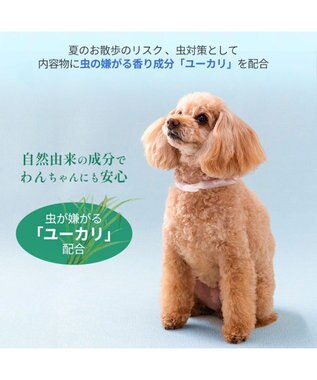 PET PARADISE ペットパラダイス 28℃クールリング  《くま》 Ｓ 小型犬 くま柄