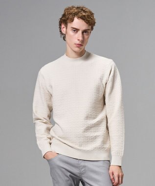 JOSEPH HOMME 新柄【イージーケア】 ヴィスコースリンクス　モックネックニット アイボリー系