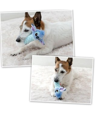 PET PARADISE ディズニー スティッチ ダンベル トイ ライトブルー