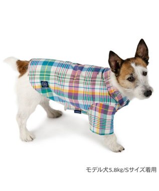 PET PARADISE J.PRESS マドラスチェック シャツ 小型犬 マルチカラー