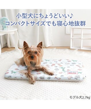 PET PARADISE ディズニー トイ・ストーリー もちっと クール マット Ｓ  《総柄》 ライトブルー