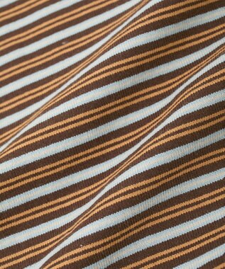 AMERICAN HOLIC カラーボーダークロップド丈プルオーバー Brown