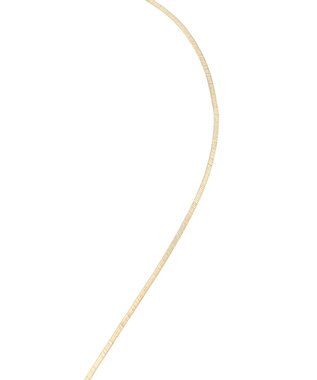 Green Parks ｅｖｅｒｙ　ｗａｌｋ．　ループタイネックレス Gold