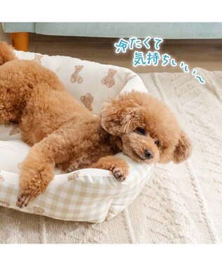 PET PARADISE ペットパラダイス くまさん クールカドラー 《アイス柄》Ｍ ホワイト