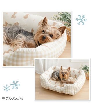 PET PARADISE ペットパラダイス くまさん クールカドラー 《アイス柄》Ｍ ホワイト