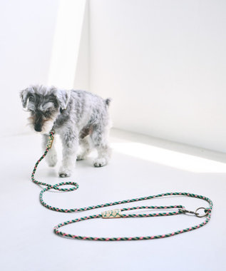 COQ UPBEAT CROSS ハンズフリーロングドッグリード