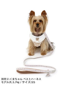 PET PARADISE ペットパラダイス リード 【４Ｓ~３Ｓ】 くまちゃん柄 ベージュ