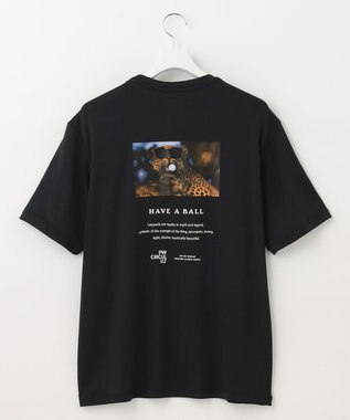  【UNISEX】【ストレッチ/UVケア/接触冷感/防透】バック フォト Tシャツ