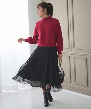 Feroux フロッキーチェック・ドット スカート ブラック系9