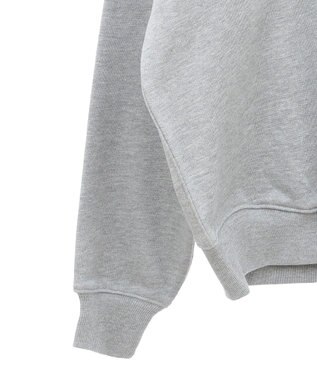 AMERICAN HOLIC ハーフＺＩＰスウェット2 Light Gray Mixture