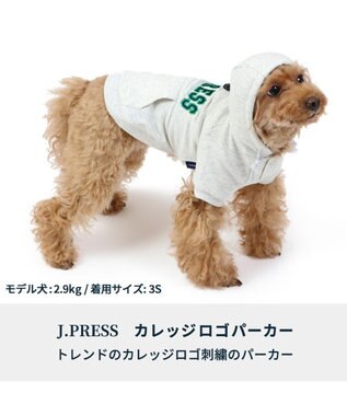 PET PARADISE 犬の服 犬 冬服 パーカー J.PRESS 【小型犬】 カレッジ ロゴ グレー