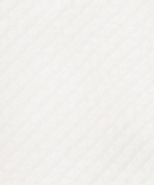 J.PRESS LADIES L 【WEB限定カラーあり・抗菌消臭・吸水速乾】サッカージャージー ボリュームスリーブ カットソー ホワイト系