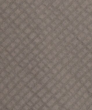 J.PRESS LADIES L 【WEB限定カラーあり・抗菌消臭・吸水速乾】サッカージャージー ボリュームスリーブ カットソー ブラウン系