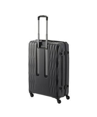 ACE BAGS & LUGGAGE Proteca トリアクシス3 スーツケース 93L 02494 プロテカ ガンメタリック