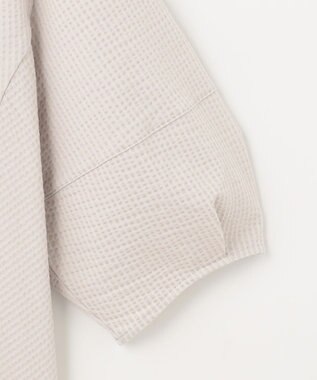 J.PRESS LADIES L 【WEB限定カラーあり・抗菌消臭・吸水速乾】サッカージャージー ボリュームスリーブ カットソー ベージュ系1