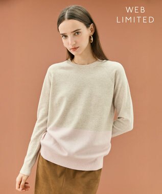 BEIGE， 【WEB限定・洗える】DEMING / バイカラーウールクルーネックニット