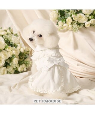 PET PARADISE cherircouture フリフリ トレンチコート 小型犬
