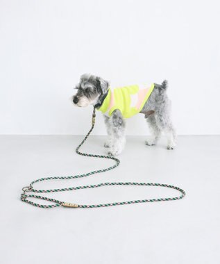 COQ UPBEAT CROSS ハンズフリーロングドッグリード グリーン