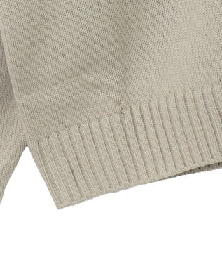 WEGO 【ユニセックス着用ITEM】ワンポイントハーフジッププルオーバー オフホワイト