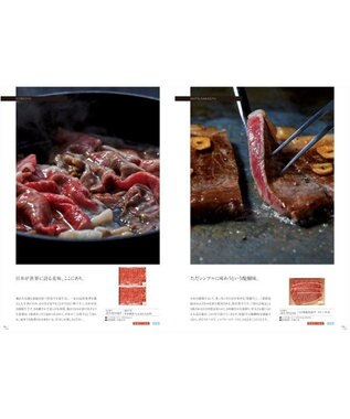 antina gift studio stage up(ステージアップ) カタログギフト ＜ポールシャーナン＞ -