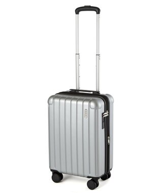 ACE BAGS & LUGGAGE RIMINI フラミニア スーツケース 機内持込み 32L 05121 リミニ エース シルバー