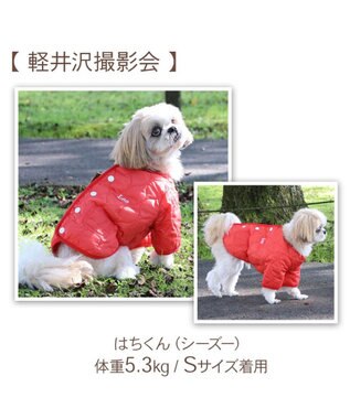 PET PARADISE Lee 背中開き ジャケット 《オレンジ》 小型犬 オレンジ