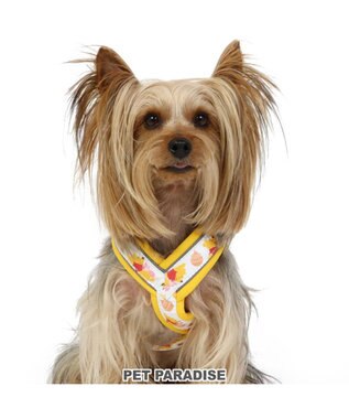  ハーネス ディズニー くまのプーさん アクティブハーネス【３Ｓ】