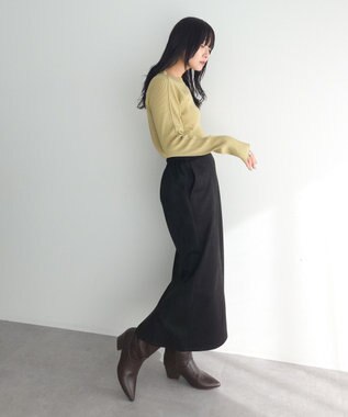 Green Parks なめらかタッチスウェード調Ｉラインスカート Black