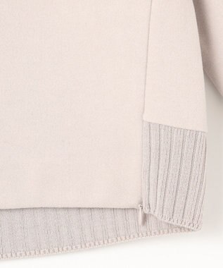 J.PRESS LADIES S ニードルパンチ ハイネック カットソー ベージュ系