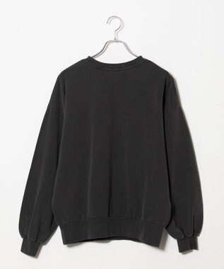 WEGO ヴィンテージライクピグメントスウェット 柄1